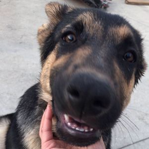 Meet your Posher, Vicky